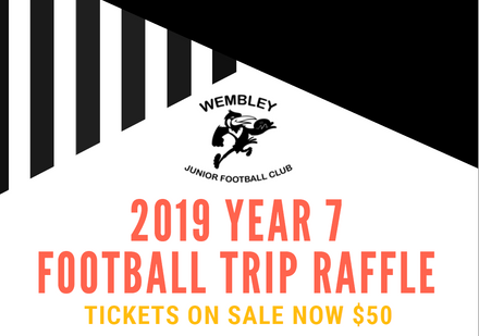 Raffle Tickets now on sale - look out for these at training and games.