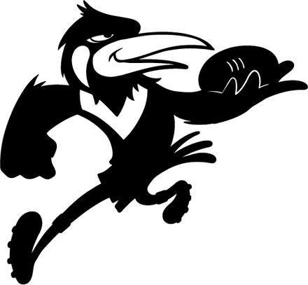 WJFC Hosting every game of the 2017 Junior Girls and Youth Girls